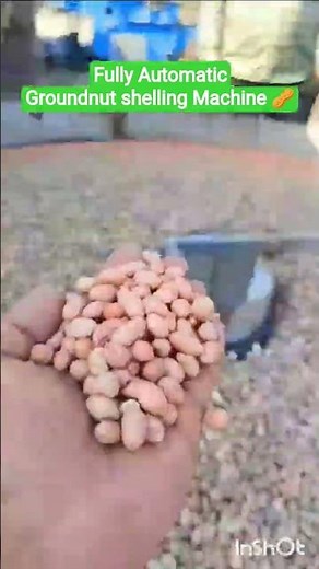 Groundnut Shelling Machine | How Peanut Sheller Working | Fast & Efficient Groundnut Processing