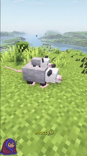 Faunify — мод, который добавляет в Minecraft много милых существ: хорьков, шиншилл, ежей и тд