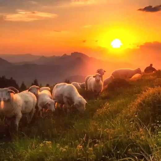 O Amor que Vem da Fé em 'Os Dez Mandamentos'