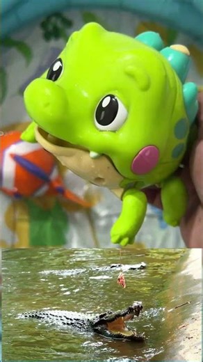 Learn Sea Animals for Preschoolers: Ocean Life Facts & Best Educational Toys for Toddlers