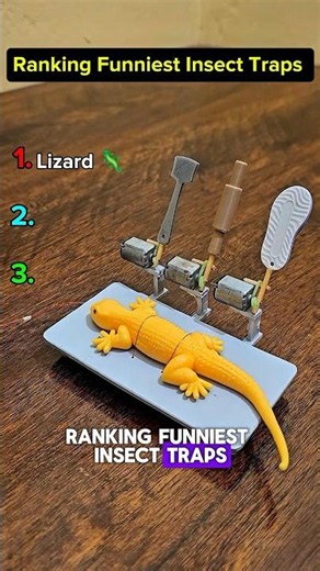 Ranking Insect Traps That Went Exactly As Planned 🪤🎯