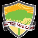 Contact Us | Action Tree Care