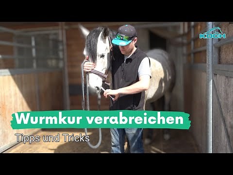 Pferde Wurmkur richtig verabreichen - Tipps und Tricks