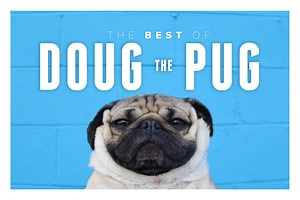 The Best of Doug the Pug. It's Awesome.