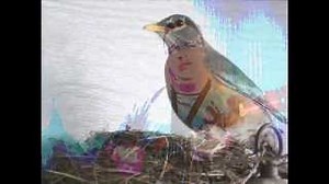 When the Red, Red, Robin Comes Bob, Bob, Bobbin' Along Chords - ChordU