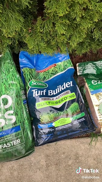 Scotts Lawn Care: Grass Seed and Turf Builder Tips