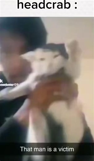 NUG (@nug4412)’s videos with original sound - NUG