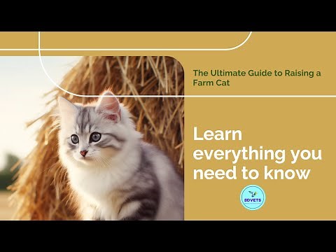 Farm Cat 101: The Ultimate Guide to Raising a Farm Cat