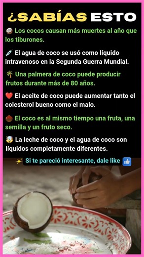 SECRETOS DEL COCO QUE NADIE TE CUENTA 🥥😱 ¿SABÍAS ESTO?