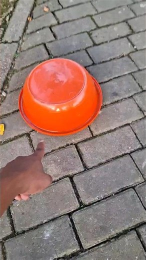 Hey, look at the guys, I think they're moving around #trendingshorts