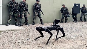 US Removal Training of Weapons of Mass Destruction