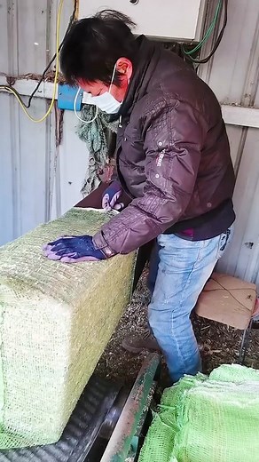 timsjordan on TikTok