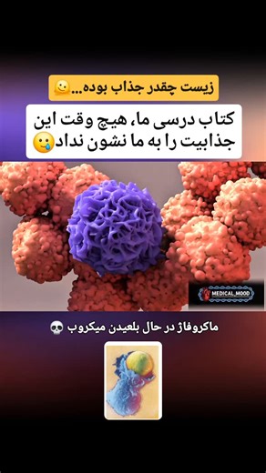 ‎انیمیشن سه بعدی جذابِ زیست و پزشکی🫀‎ | ‎اینجا زیست رو درک میکنی 📺🫀 #کنکور #تجربی #پزشکی #زیست #زیست_کنکور‎ | Instagram