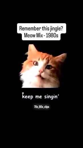 @70s_80s_clips on Instagram: "#retro #nostalgia #1980s #80s #commercial #cat #jingle"