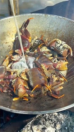 Cooking Land Crabs with a SECRET Ingredient... Yogurt! 🤯