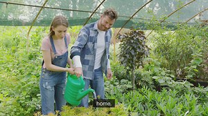 Indoor Gardening Window Ledge Gardening