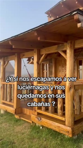Manda mensaje para mas información, a 2 horas de la Ciudad de México se encuentra el santuario de las luciérnagas, contamos con hospedaje, la temporada comienza en Junio. #santuariodelasluciernagas #luciernagas #luciernaga #firefly