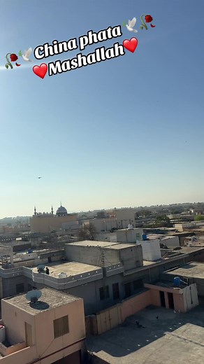 #foryou #foryou #1millionaudition #kaboterbazi🔥🕊 #foryoupage❤️❤️ #kaboterbazi🔥🕊facncypegion #kaboterparwari #shok #kaboter #tiktokviral #unfreezemyacount #tiktokplzviralmyvideo #viralvedio😍 #viralvedio