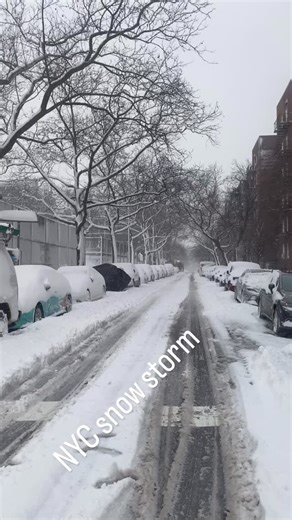 NYC SNOW STORM 🌨️ #newyork #nyc #snow #snowstorm #reel | Lobsang Phuntsok