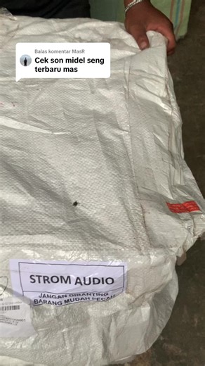 Wisdom Line Array Audio Insights: MS-210 Neo Review