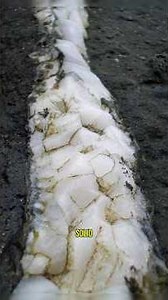 Mind-Blowing Rare Photos You Need to See! 🤯