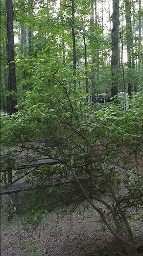 The Hidden Charms of Jordan Lake State Recreation Area #rvlife