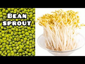 Bean sprouts | How to make bean sprouts at home