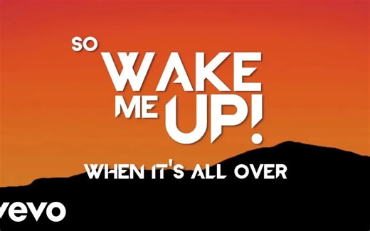 Avicii - Wake Me Up (官方歌词视频)