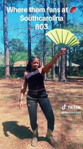 Exciting Line Dance in South Carolina