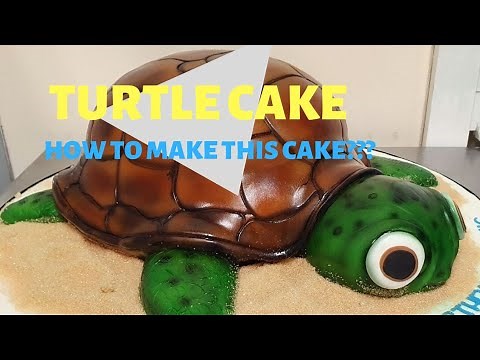 TURTLE CAKE!!! How to make this cake?