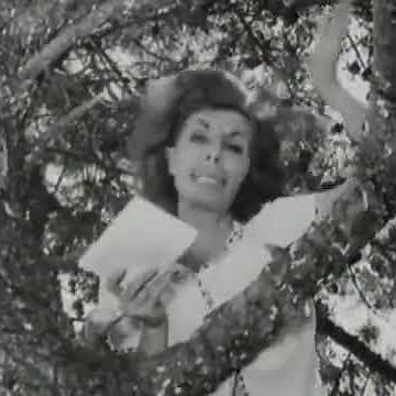 Κάμπια - Τύφλα να 'χει ο Μάρλον Μπράντο (1963)