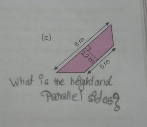 (c)What is the height and Parallel sides?... | Filo