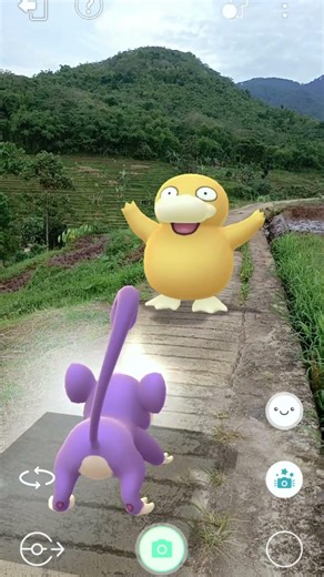 Duck Vs Rat Pokemon #314 #pokemon #ポケモン