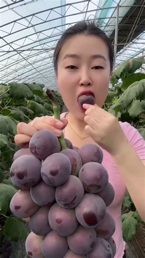 Wow, Amazing grapes fruit 🍇🍇 #grape #agriculturefarming #fruits