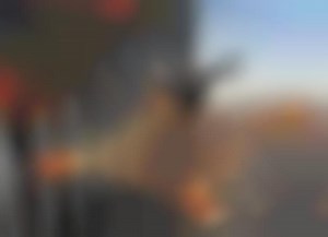 Building Evacuation Drones