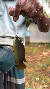 Extreme Fishing By Hook #shorts | Extreme Fish World