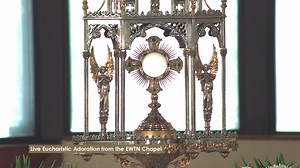 Jesus is waiting for you! Spend a few minutes adoring Our Lord Jesus Christ, who truly is present in the Most Holy Eucharist. Include your intentions, and remember that the EWTN Family is always praying with you and for you! Learn about the Eucharist and get a free eBook: https://bit.ly/EWTN_Eucharist This stream will run Monday-Friday from 9 a.m. - 5 p.m. ET (approx.) You also can adore Jesus here: https://ewtn.com/catholicism/adoration God bless you, family! #eucharisticadorationlive #eucharis