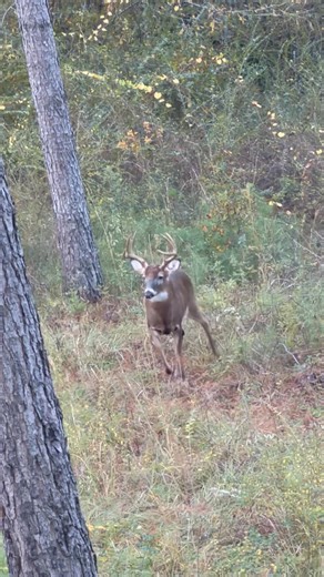 Bill Carson on Reels