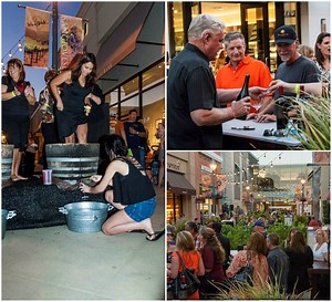 Kick Off Your Shoes and Smash Some Grapes at Temecula 'Grape Stomp'