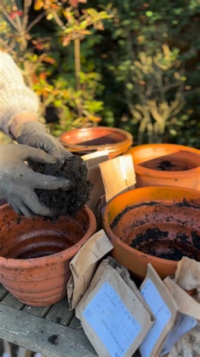 9.7K views · 166 reactions | We’re making a plant theatre using our...