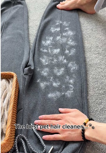 Top Pet Hair Removal Tools for Easy Cleaning