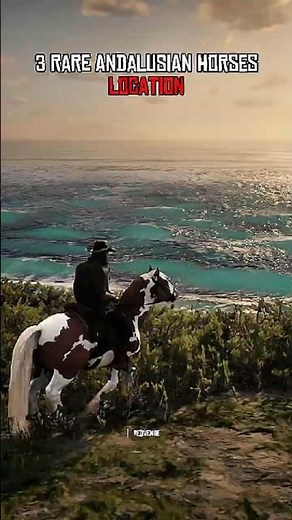 3 Andalusian Horses in Red Dead Redemption 2