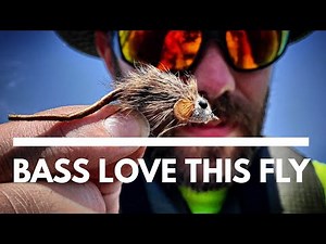 Fly Fishing the MOUSE FLY Pattern for BASS #flyfishing