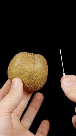 36M views · 224K reactions | Kiwi vs needle #asmr #asmrsounds #macroart #macro #macrophotography #makrofotografia #closeup #closeupphotògraphy #raw_macro #kings_macro #macro_highlight #macro_royals #macroworld_tr #macro_vision #macro_captures #macro_holic #microworld #microartist | Alien Inventory | Facebook