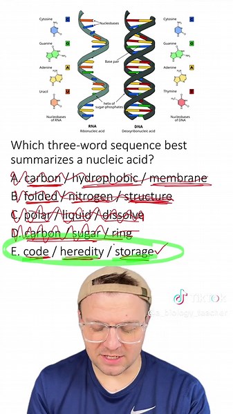 Nucleic Acids: The Key Macromolecule for Genetics