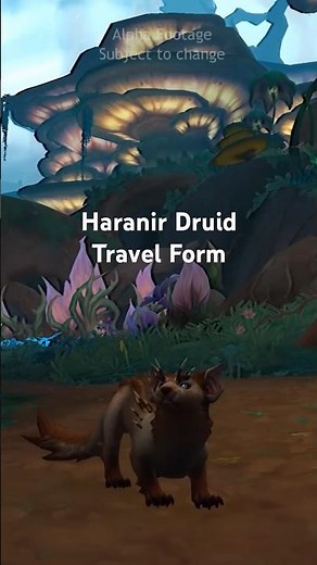 #Haranir Druid Travel Form | WoW Midnight Alpha