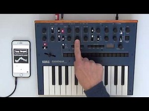 Analog filter audio input fun