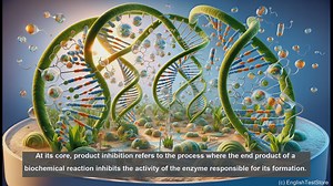 Product inhibition in biology - Definition and examples
