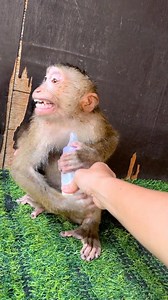 Old style of Mario | LEO Monkey HD