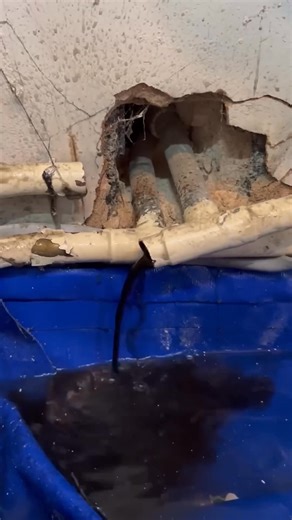 23K views · 56 reactions | Repairing leaks on isolation valves! #asmrsounds #foryou #subscribe #howto #diy #asmr #shorts | plumber video | Facebook